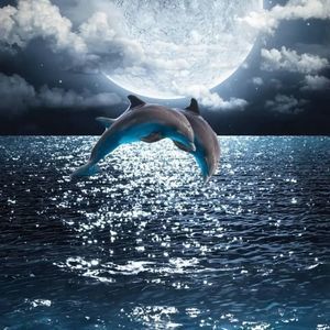 Meet your Posher, Christa